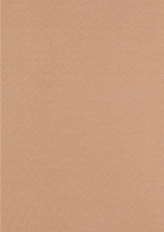 MEDIAS MOLDEADORAS 20 DEN - Imagen 3